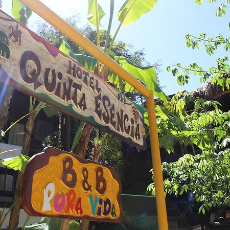 Bed and Breakfast Quinta Esencia Brasilito Exteriér fotografie